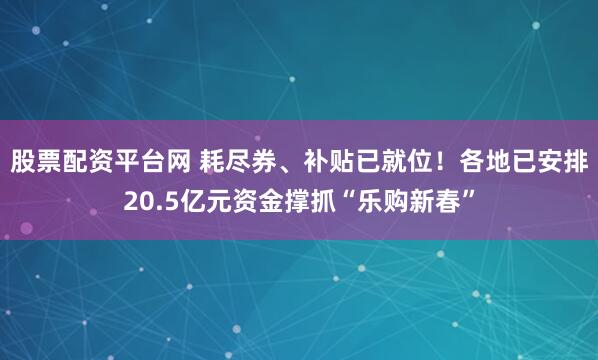 股票配资平台网 耗尽券、补贴已就位！各地已安排20.5亿元资金撑抓“乐购新春”