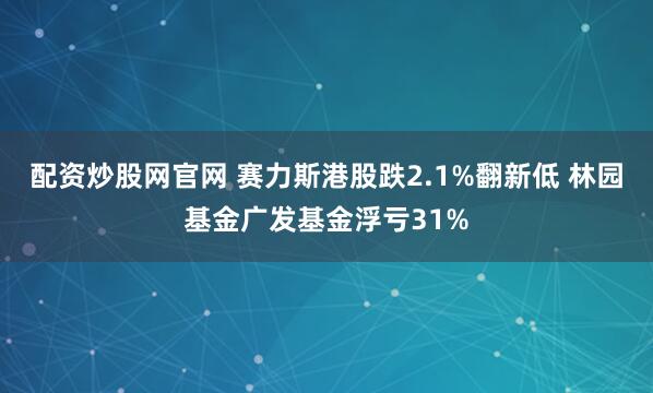 配资炒股网官网 赛力斯港股跌2.1%翻新低 林园基金广发基金浮亏31%