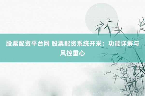 股票配资平台网 股票配资系统开采：功能详解与风控重心