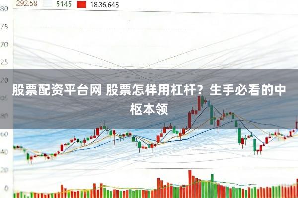 股票配资平台网 股票怎样用杠杆？生手必看的中枢本领