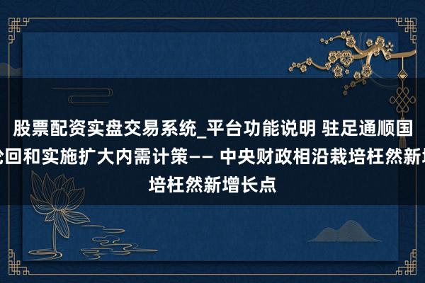 股票配资实盘交易系统_平台功能说明 驻足通顺国内大轮回和实施扩大内需计策—— 中央财政相沿栽培枉然新增长点